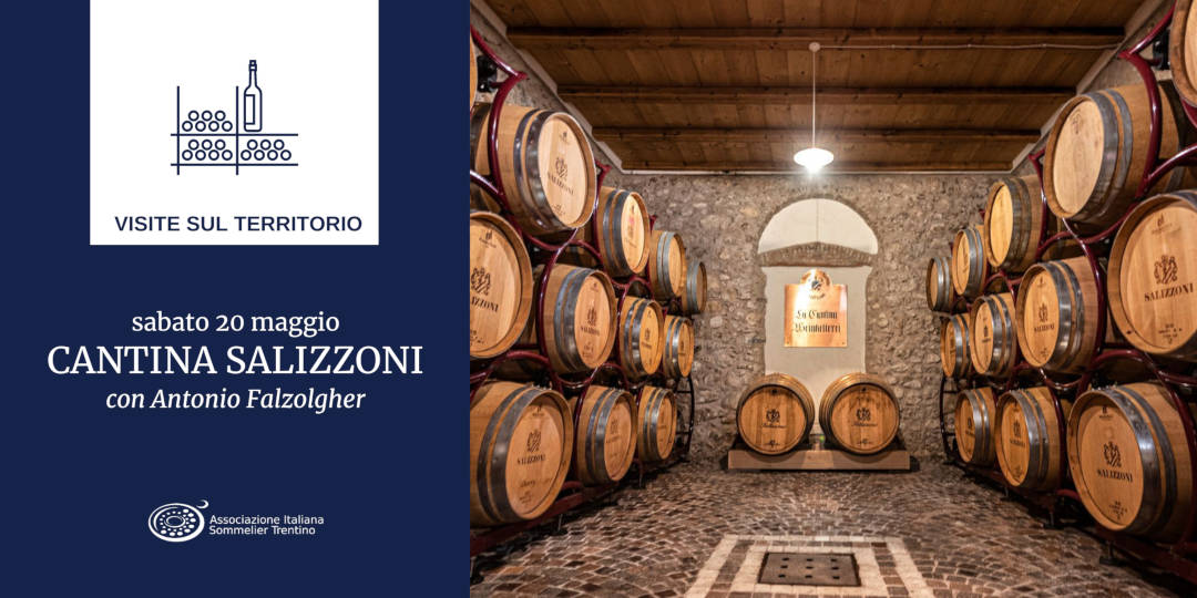 VISITE SUL TERRITORIO | Cantina Salizzoni