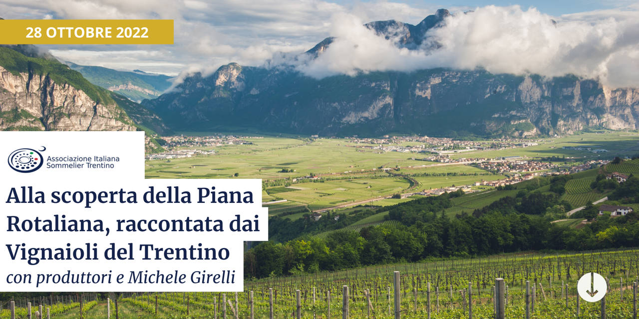 Alla scoperta della Piana Rotaliana, raccontata dai Vignaioli del Trentino